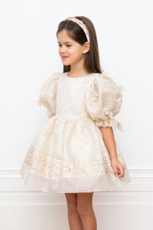 ivory and gold organza dress