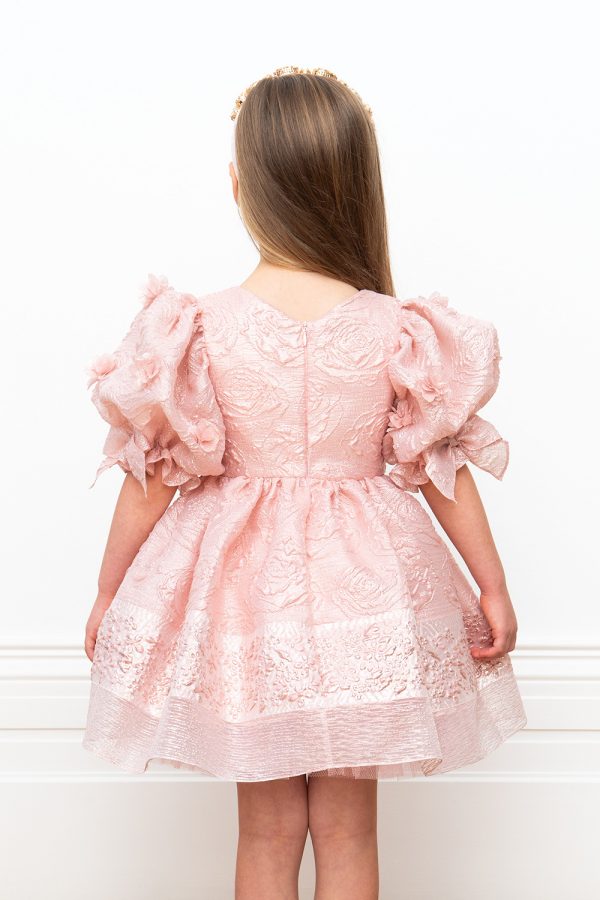 pink Cinderella ball gown
