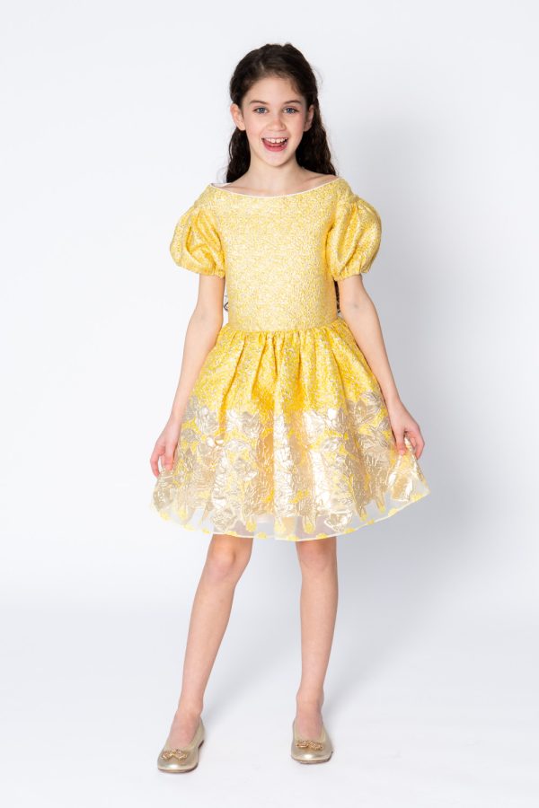 Canary Yellow Brocade Ball Gown