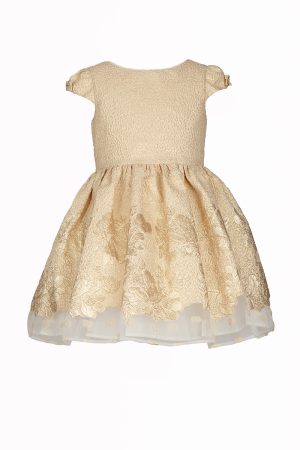 embossed gold birthday gown