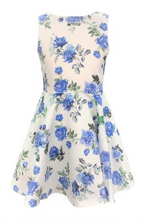 Ivory and Blue Tea Rose Dress
