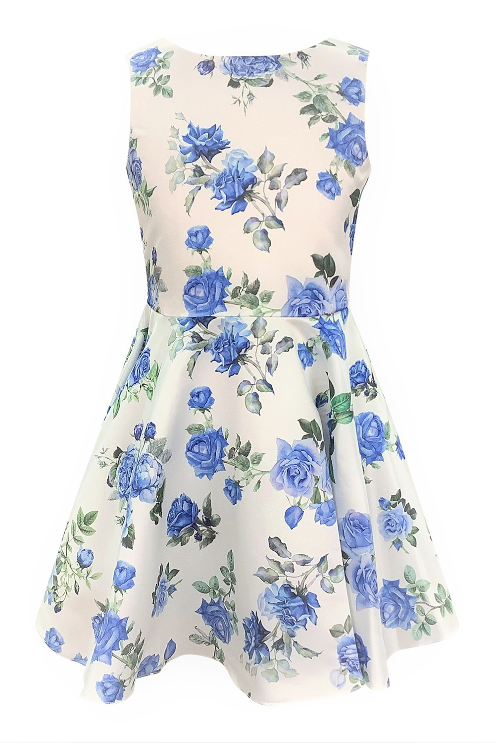 Ivory and Blue Tea Rose Dress